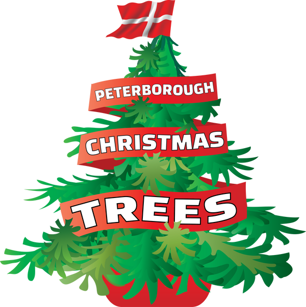 Real Christmas Trees Peterborough