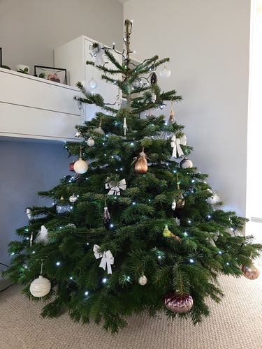 Value Range Christmas Trees