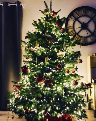 Premium Real Christmas Trees - Peterborough Christmas Trees