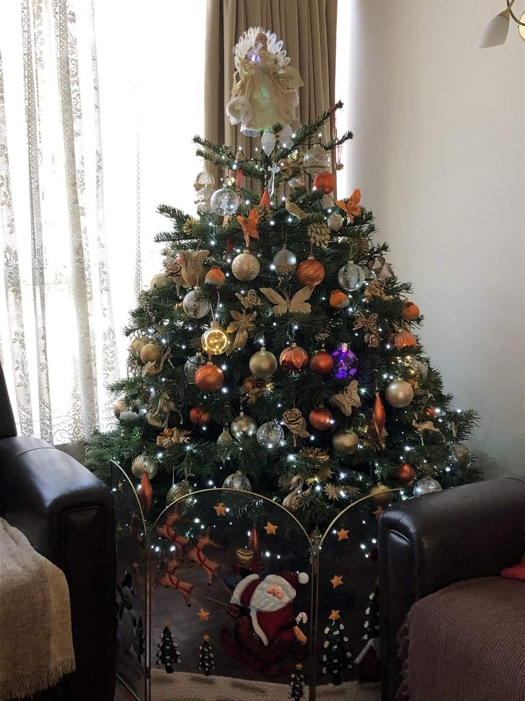 Premium Real Christmas Trees - Peterborough Christmas Trees